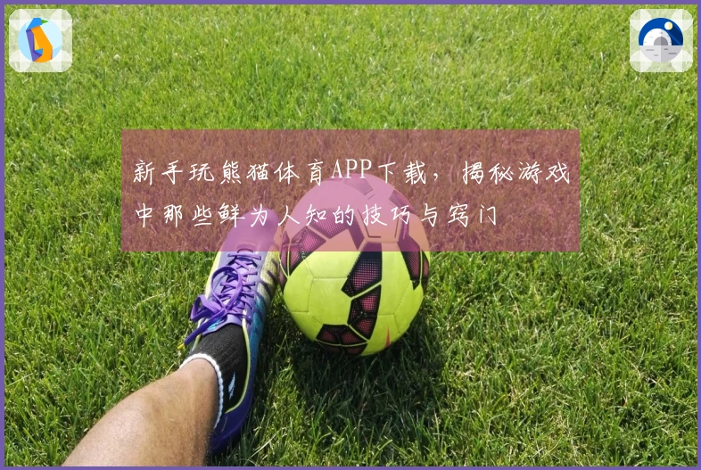 新手玩熊猫体育APP下载，揭秘游戏中那些鲜为人知的技巧与窍门