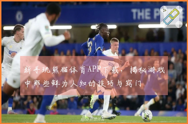 新手玩熊猫体育APP下载，揭秘游戏中那些鲜为人知的技巧与窍门